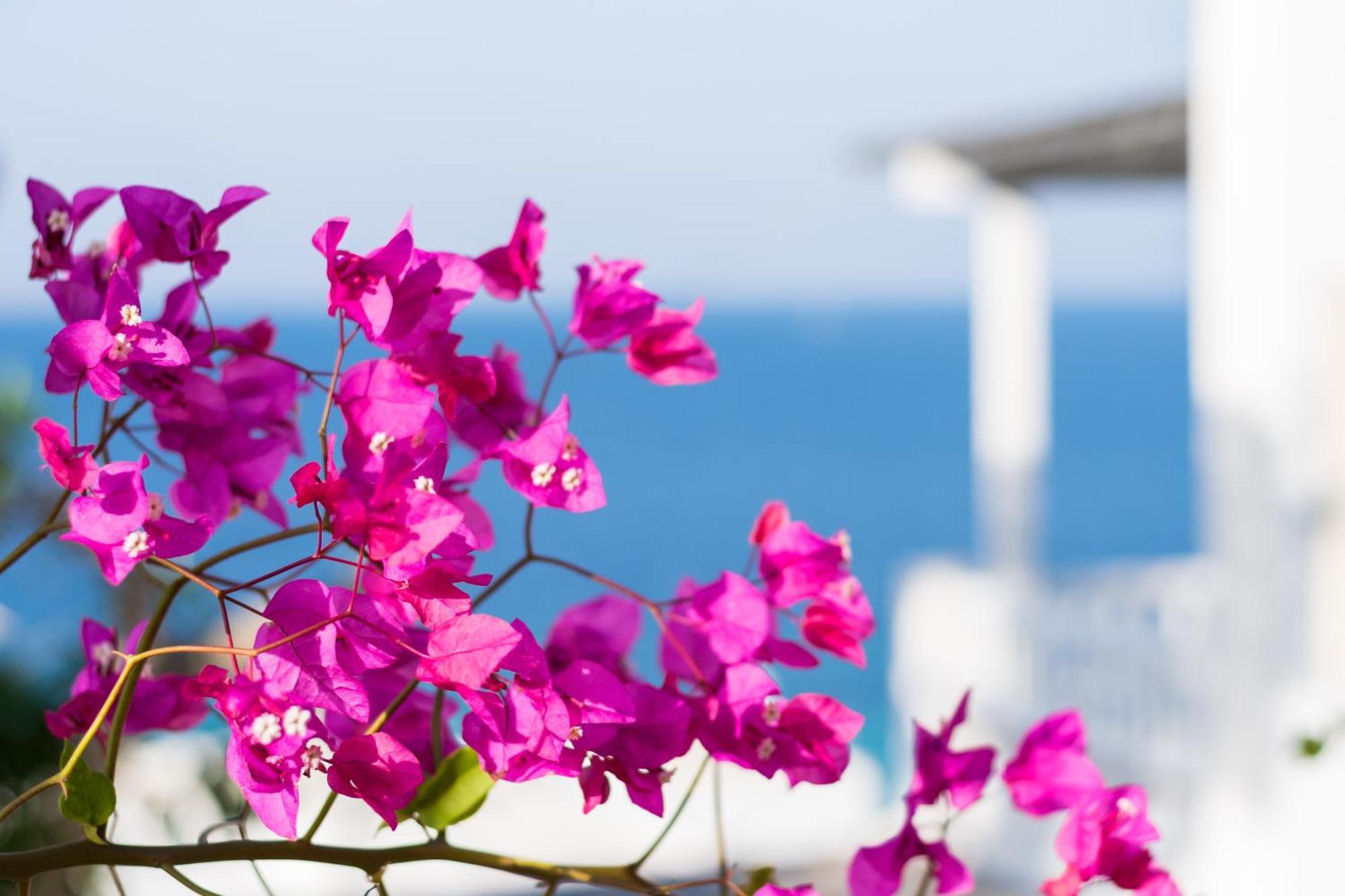 With-Inn Mykonos Suites Тоурлос Экстерьер фото
